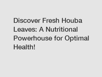 Discover Fresh Houba Leaves: A Nutritional Powerhouse for Optimal Health!