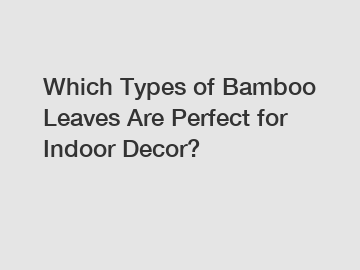 Which Types of Bamboo Leaves Are Perfect for Indoor Decor?