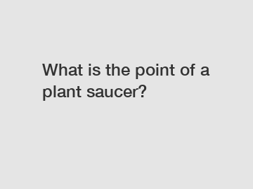 What is the point of a plant saucer?