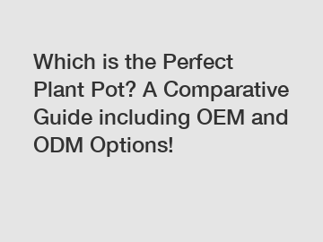Which is the Perfect Plant Pot? A Comparative Guide including OEM and ODM Options!