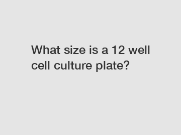 What size is a 12 well cell culture plate?