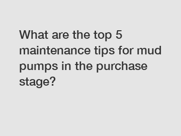 What are the top 5 maintenance tips for mud pumps in the purchase stage?