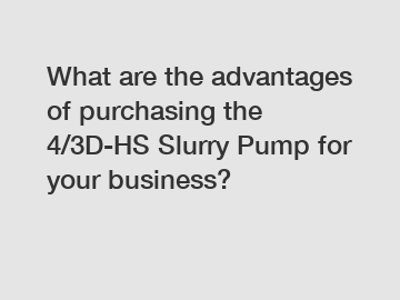 What are the advantages of purchasing the 4/3D-HS Slurry Pump for your business?