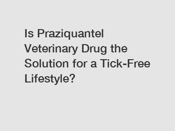Is Praziquantel Veterinary Drug the Solution for a Tick-Free Lifestyle?