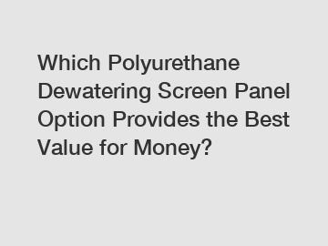 Which Polyurethane Dewatering Screen Panel Option Provides the Best Value for Money?