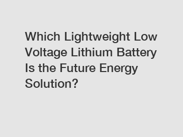 Which Lightweight Low Voltage Lithium Battery Is the Future Energy Solution?