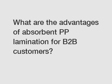 What are the advantages of absorbent PP lamination for B2B customers?