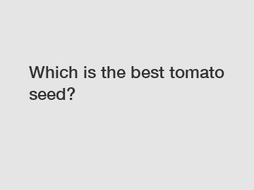 Which is the best tomato seed?