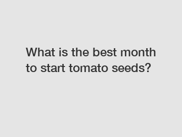 What is the best month to start tomato seeds?