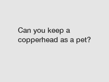 Can you keep a copperhead as a pet?