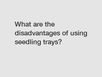 What are the disadvantages of using seedling trays?