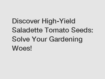 Discover High-Yield Saladette Tomato Seeds: Solve Your Gardening Woes!