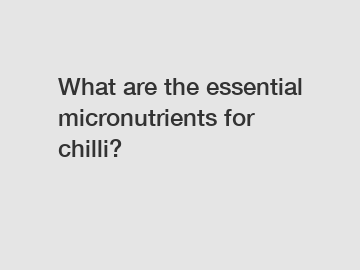 What are the essential micronutrients for chilli?