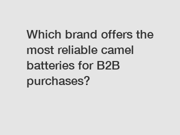 Which brand offers the most reliable camel batteries for B2B purchases?