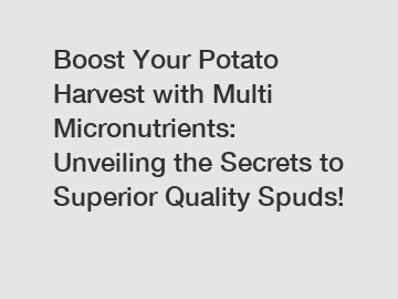 Boost Your Potato Harvest with Multi Micronutrients: Unveiling the Secrets to Superior Quality Spuds!