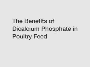 The Benefits of Dicalcium Phosphate in Poultry Feed