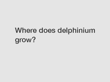 Where does delphinium grow?