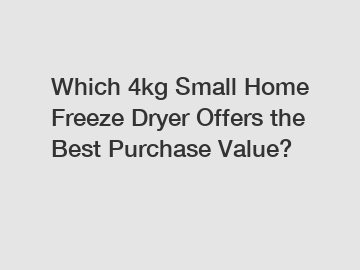 Which 4kg Small Home Freeze Dryer Offers the Best Purchase Value?