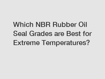 Which NBR Rubber Oil Seal Grades are Best for Extreme Temperatures?