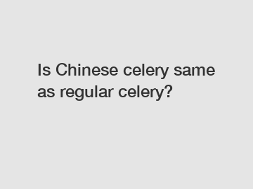 Is Chinese celery same as regular celery?