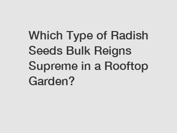 Which Type of Radish Seeds Bulk Reigns Supreme in a Rooftop Garden?