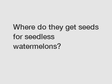 Where do they get seeds for seedless watermelons?