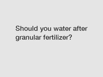 Should you water after granular fertilizer?