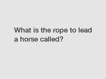 What is the rope to lead a horse called?