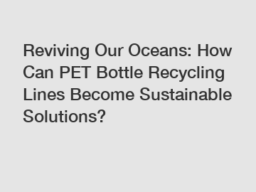Reviving Our Oceans: How Can PET Bottle Recycling Lines Become Sustainable Solutions?