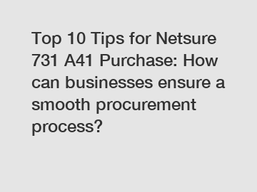 Top 10 Tips for Netsure 731 A41 Purchase: How can businesses ensure a smooth procurement process?