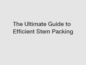 The Ultimate Guide to Efficient Stem Packing