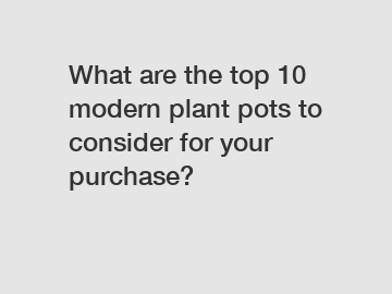 What are the top 10 modern plant pots to consider for your purchase?