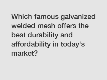 Which famous galvanized welded mesh offers the best durability and affordability in today's market?