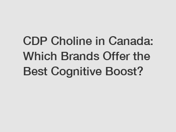 CDP Choline in Canada: Which Brands Offer the Best Cognitive Boost?