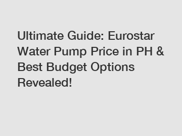 Ultimate Guide: Eurostar Water Pump Price in PH & Best Budget Options Revealed!