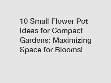 10 Small Flower Pot Ideas for Compact Gardens: Maximizing Space for Blooms!