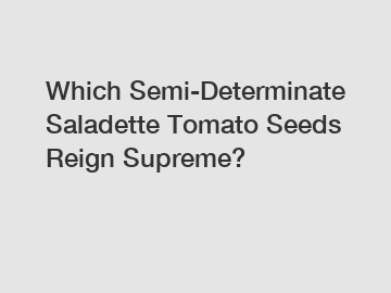 Which Semi-Determinate Saladette Tomato Seeds Reign Supreme?