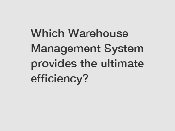 Which Warehouse Management System provides the ultimate efficiency?