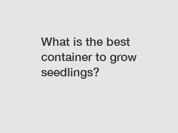 What is the best container to grow seedlings?