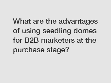 What are the advantages of using seedling domes for B2B marketers at the purchase stage?