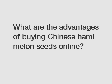 What are the advantages of buying Chinese hami melon seeds online?