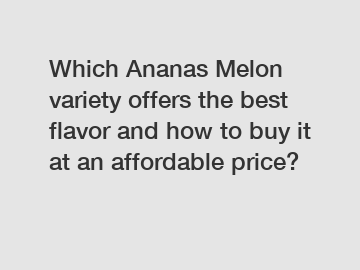 Which Ananas Melon variety offers the best flavor and how to buy it at an affordable price?