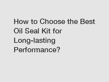 How to Choose the Best Oil Seal Kit for Long-lasting Performance?