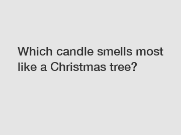 Which candle smells most like a Christmas tree?