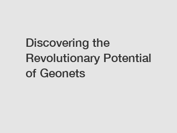 Discovering the Revolutionary Potential of Geonets