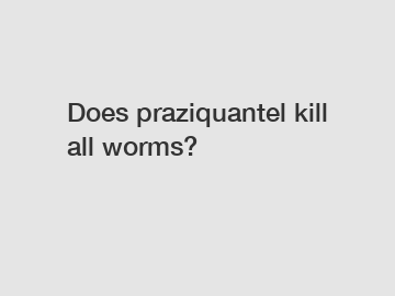 Does praziquantel kill all worms?