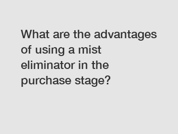 What are the advantages of using a mist eliminator in the purchase stage?