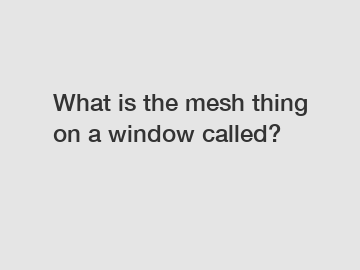 What is the mesh thing on a window called?