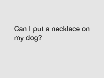 Can I put a necklace on my dog?