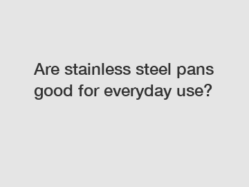 Are stainless steel pans good for everyday use?